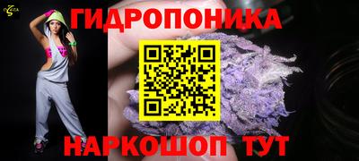 гашик Заволжье