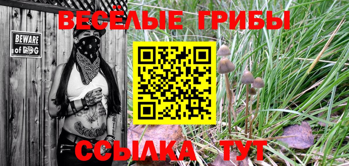 Курчатов  где найти наркотики  Вход с VPN  Галлюциногенные грибы Cubensis 